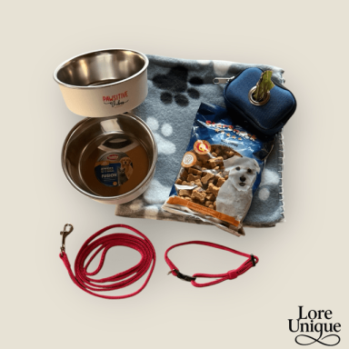 Hundenapf, Leckerlis, Decke, Leine und Ball auf einem Tisch arrangiert.